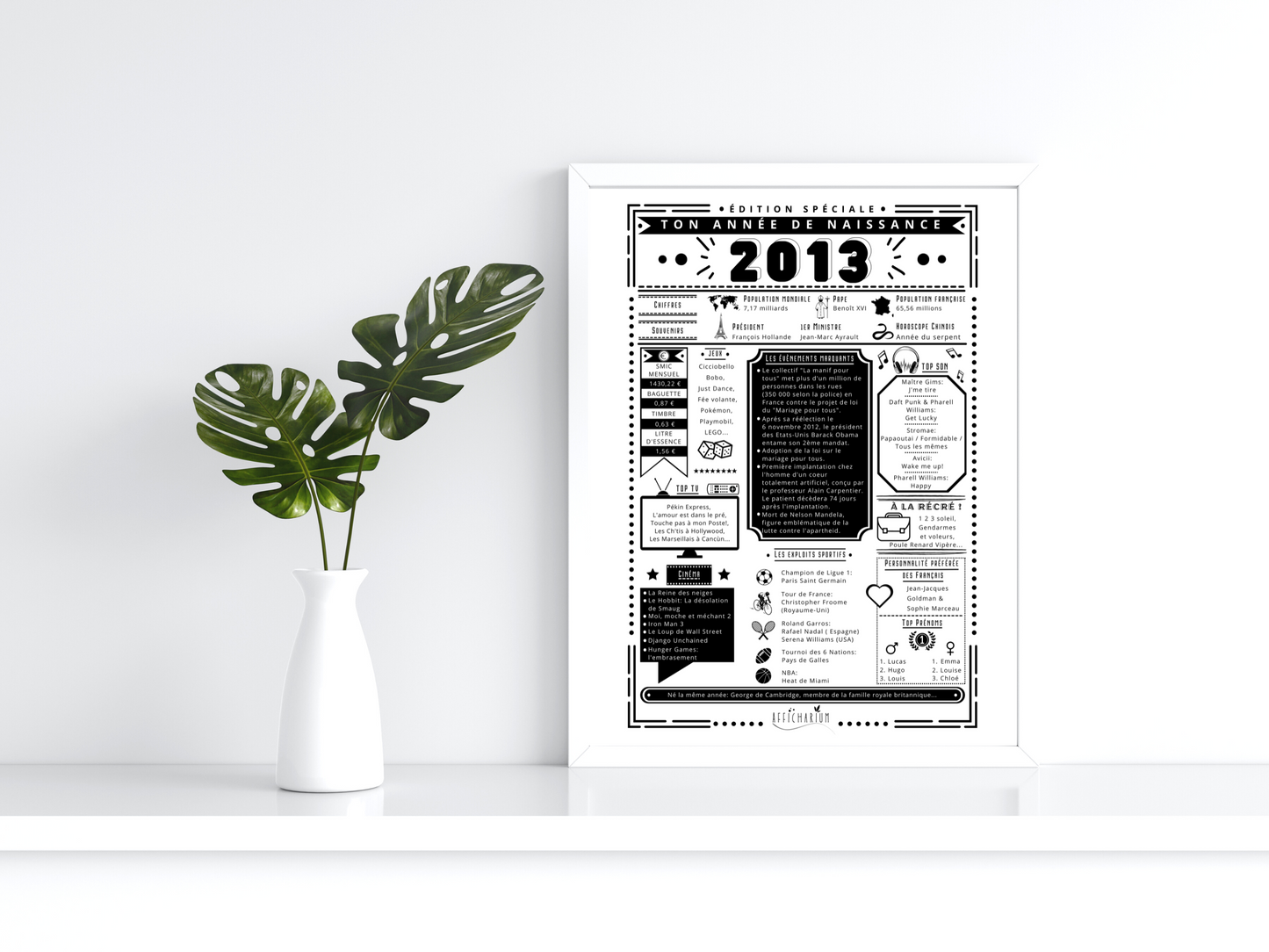 Journal de naissance 2013