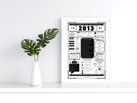 Journal de naissance 2013