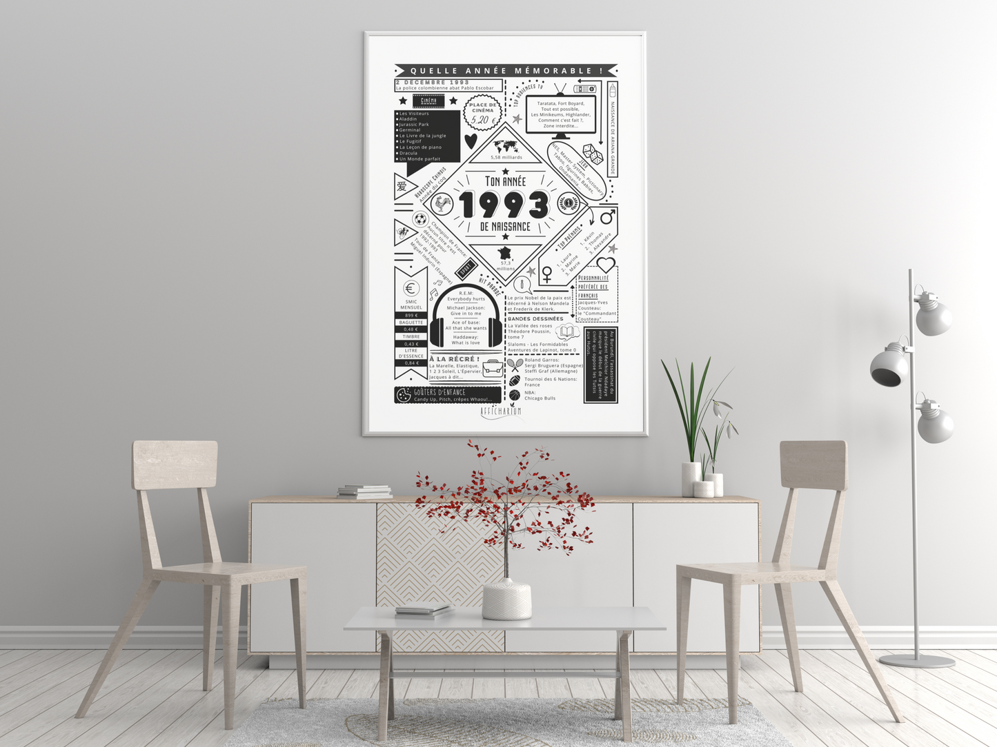 Affiche 1993 année de naissance