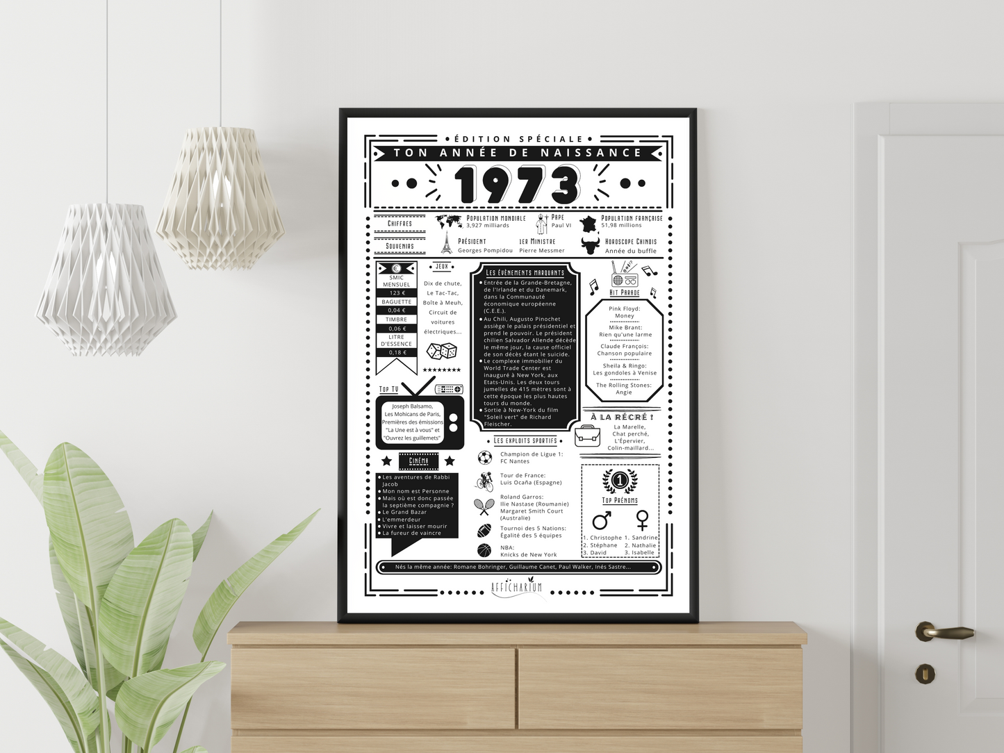 Journal de naissance 1973