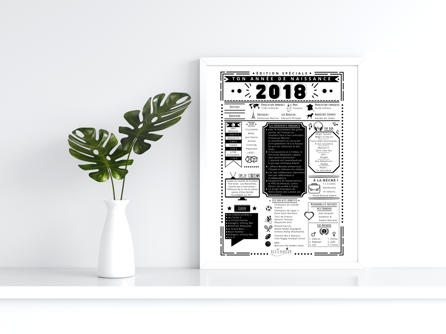 Journal de naissance 2018